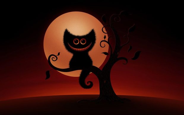Halloween Cat HD Wallpaper free download 1