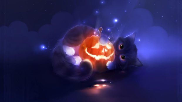 Halloween Cat HD Wallpaper free download 2