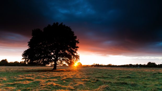 Hd sunset nature wallpapers.