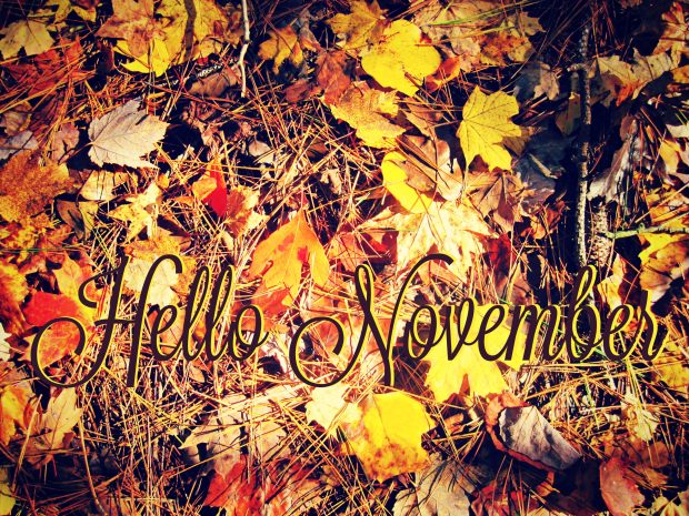 Hello Autumn November photo.