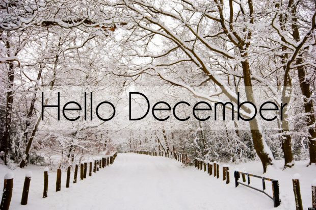 Hello December.