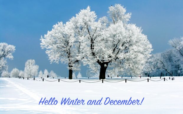 Hello December Desktop Backgrounds.