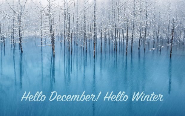 Hello December Wallpaper HD.