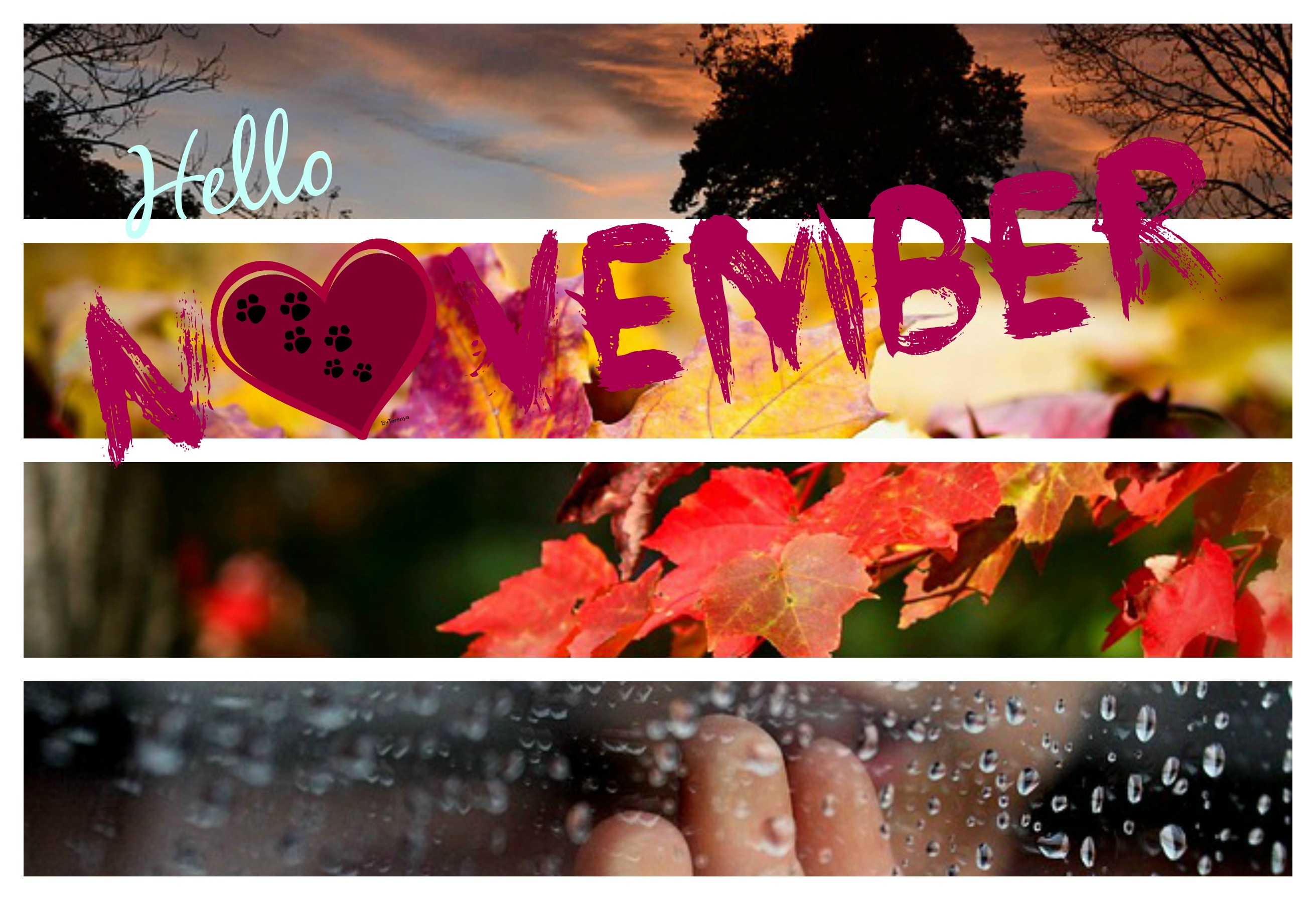Hello November HD Wallpapers 