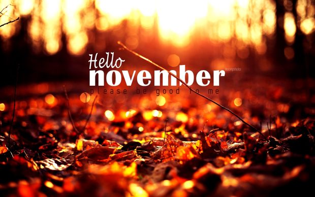 Hello November Wallpaper HD 2.