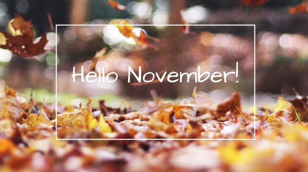 Hello November Wallpaper HD 3.