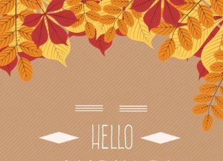 Hello November Wallpaper Mobile.