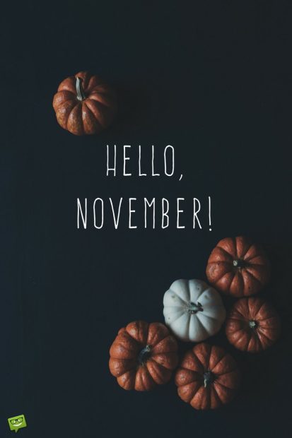 Hello November on background with pumpkins on blackboard.