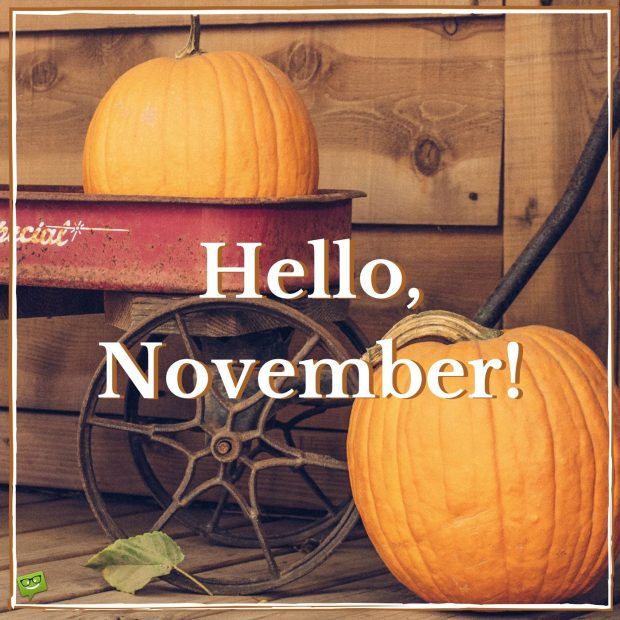 Hello November on image with huge pumpkins.