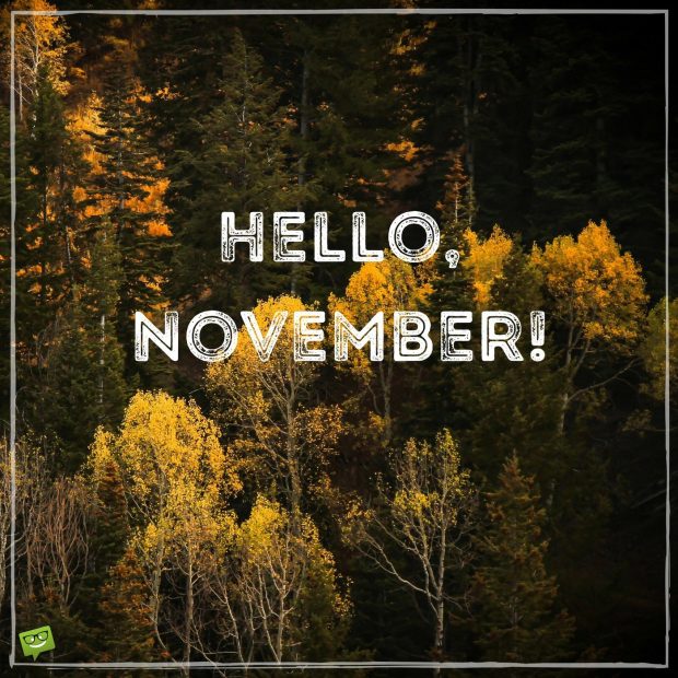 Hello November on image with nature autumn wallpaper.