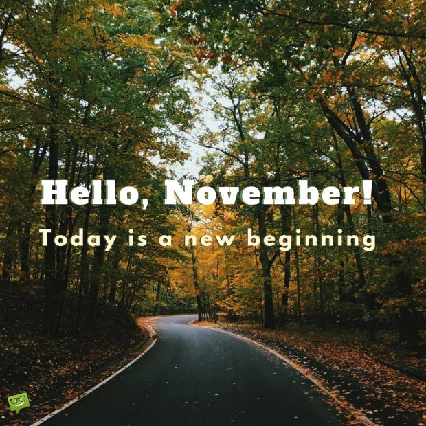 Hello November Today is a new beginning on background with a road among autumn trees.