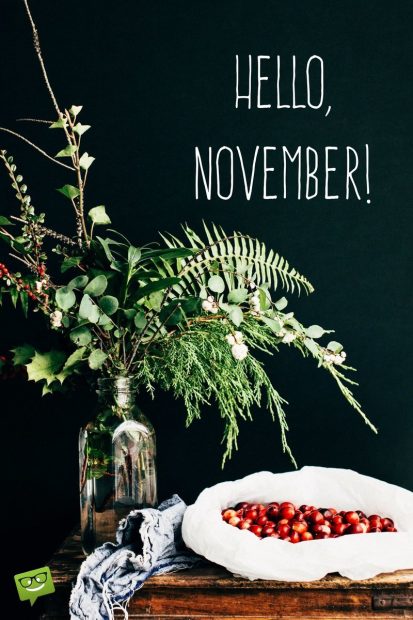 HelloNovember on wallpaper with rustic still life and dark background.