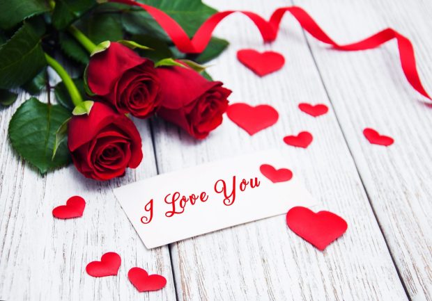 I Love You Heart Roses Flowers 4K Background.