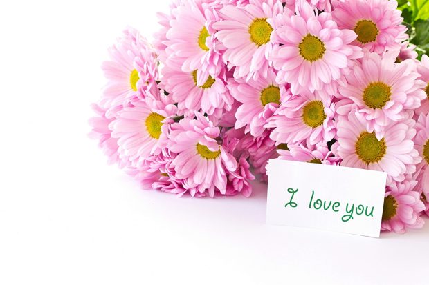 I love you pink flower wallpaper 2.