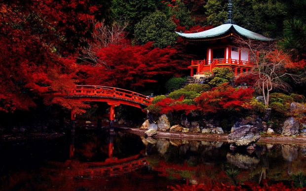 Japanese Garden 4K Wallpaper HD.