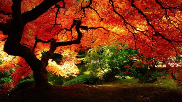 Japanese Garden Wallpaper HD Desktop.