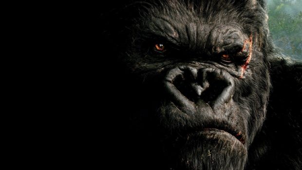 King Kong Images 1920x1080.