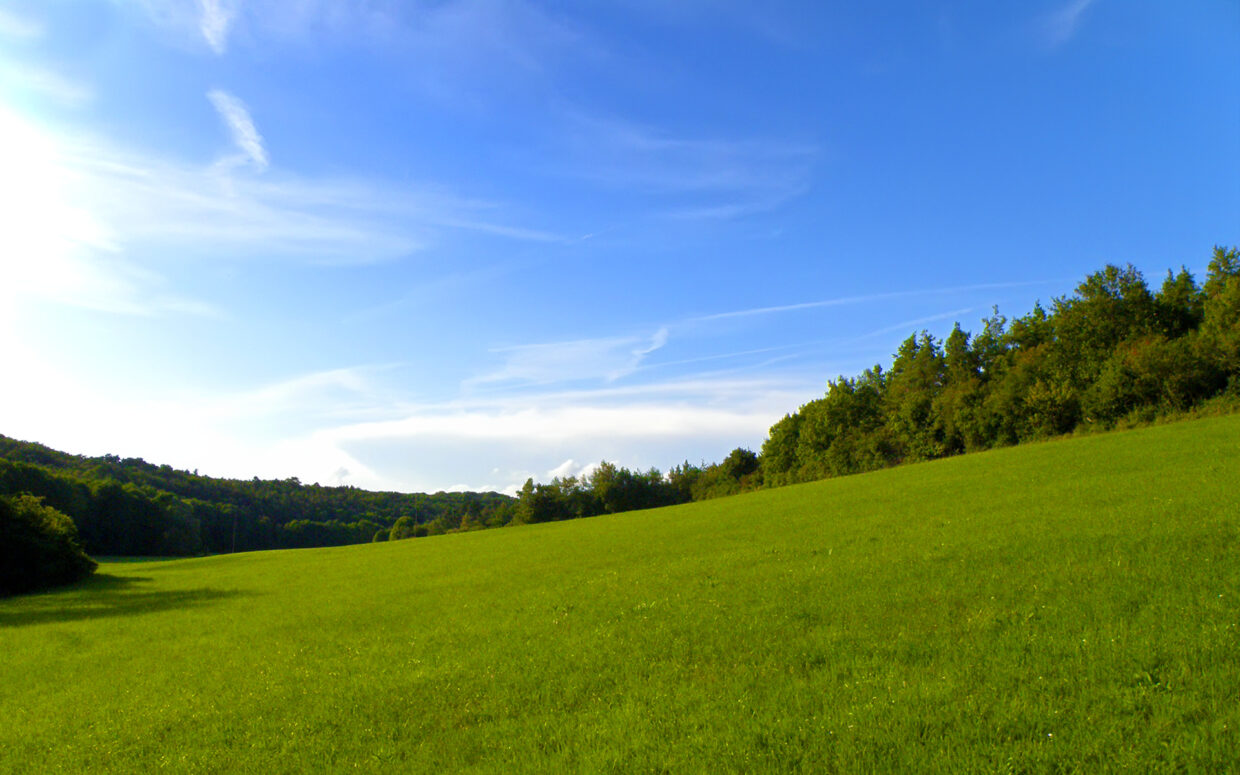 Landscape Backgrounds - PixelsTalk