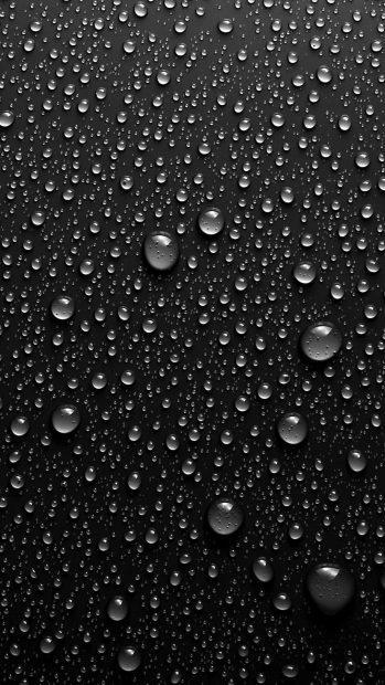 Live Black Wallpaper for iPhone 8 1