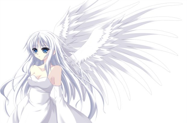 Love Anime Angel Wings Image.