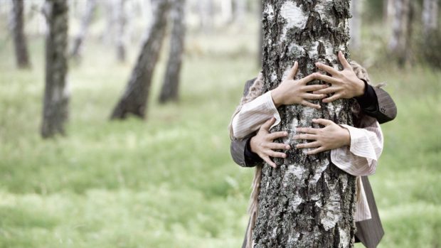 Love couple tree trunk birch hands wallpapers 1920x1080.