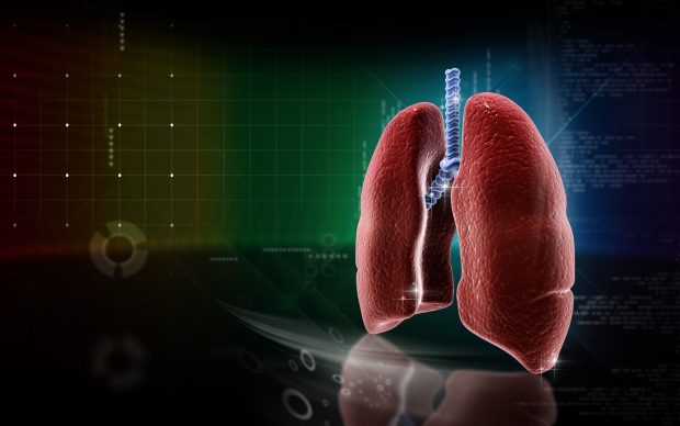 Lungs anatomy medical wallpaper hd.