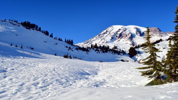 Mount Rainier in Winter Ultra HD.