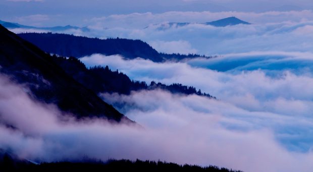 Mount rainier national park washington background 1920x1080.