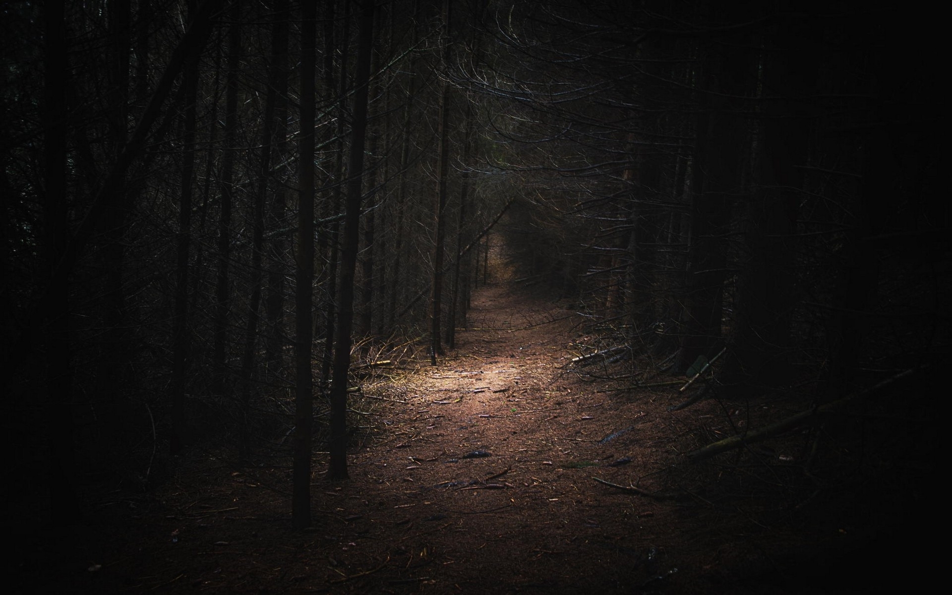 Nature dark woods images.