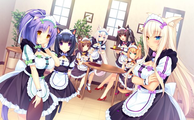 Nekopara Backgrounds HD.