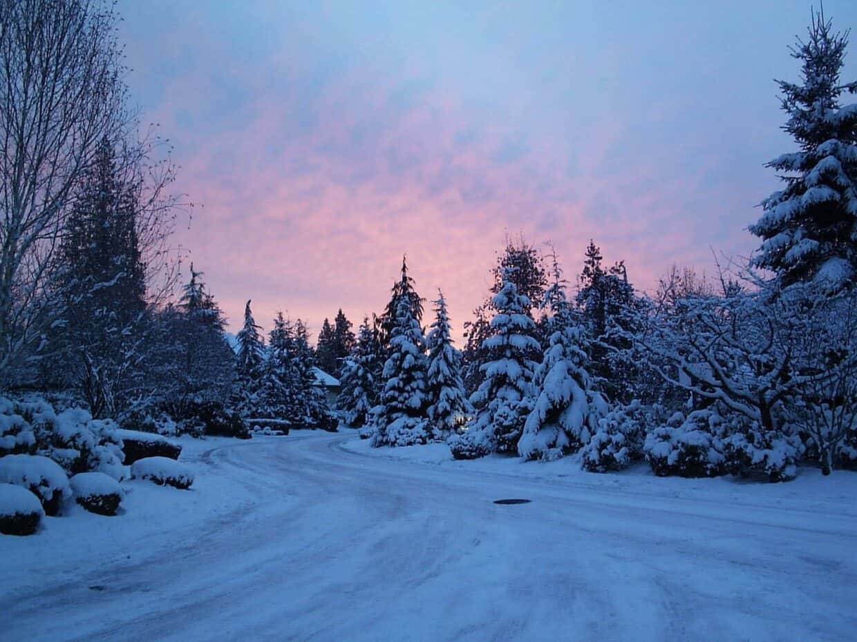Winter Landscape Wallpaper Full HD - PixelsTalk