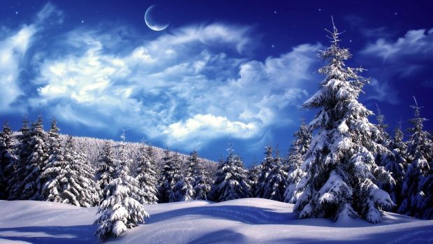 Noel Trees Lanscape Winter Wallpaper 2.