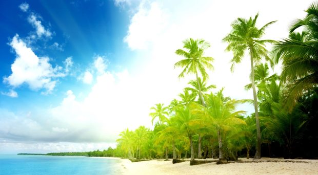 Palm trees beach wallpaper 1920x1080.