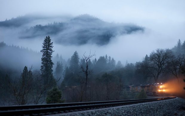 Photos train coming from the foggy forest.