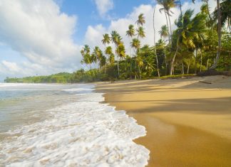 Blanchisseuse Beach, Trinidad.