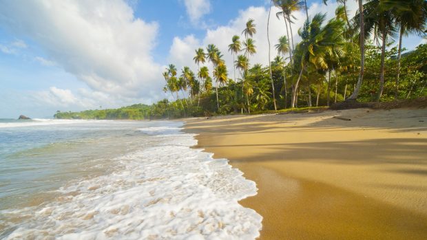 Blanchisseuse Beach, Trinidad.