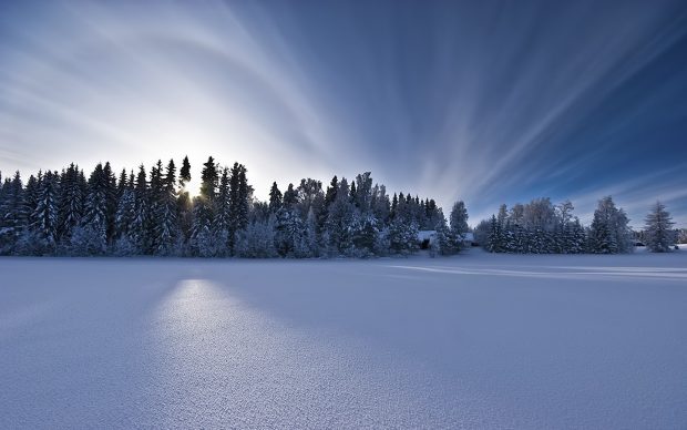 Plain snow surface