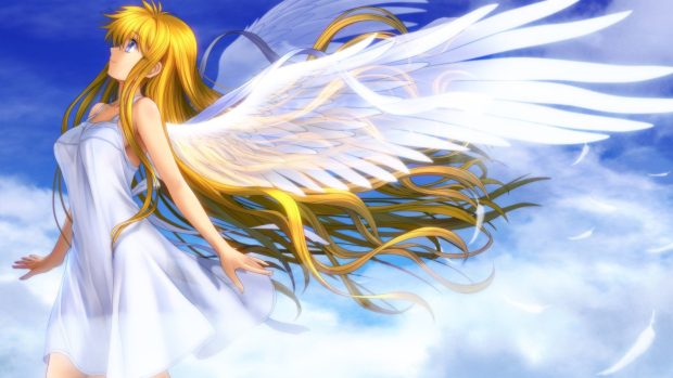 Pretty Anime Angel feathers wallpaper white wings.