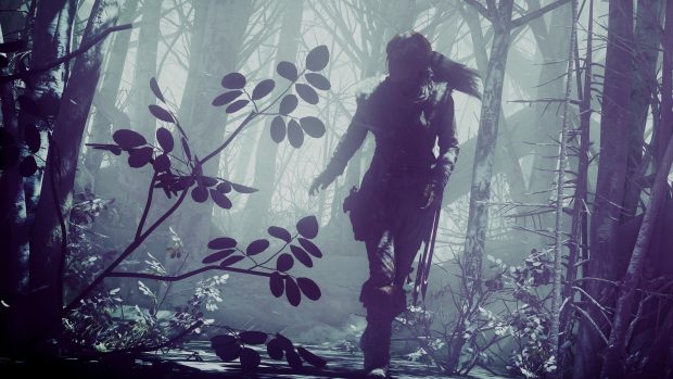 Rise of the Tomb Raider lara croft 4k HD backgrounds.