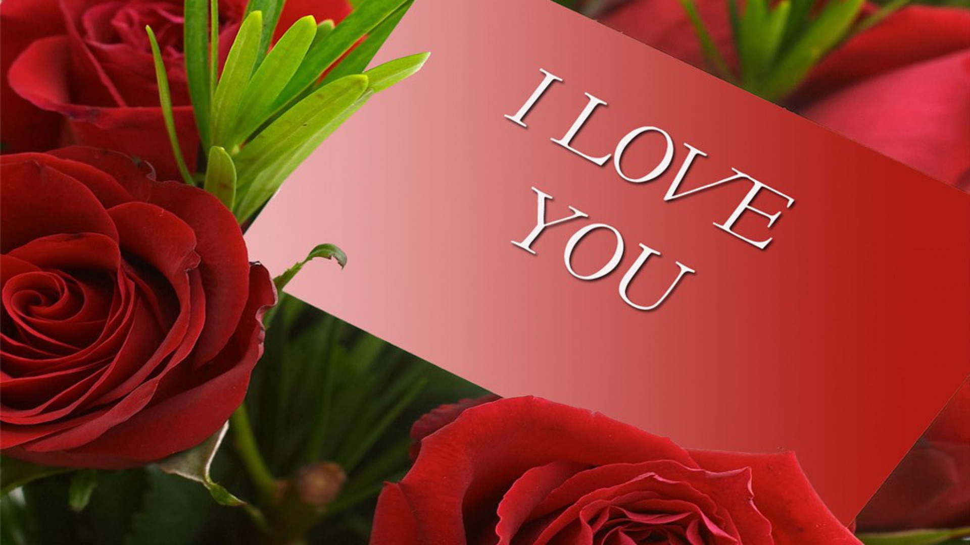 Flower I Love You Wallpaper Pixelstalk Net