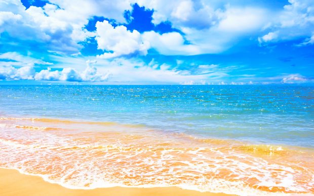 Sea Beach Backgrounds.