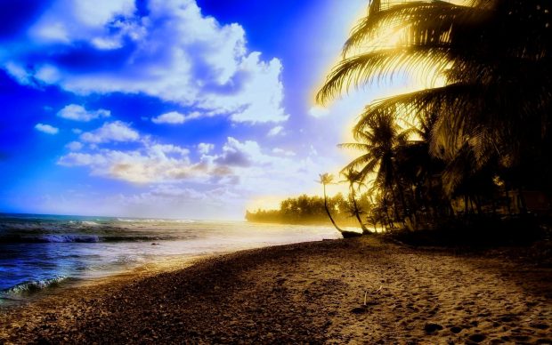 Seashore HD Wallpaper Download Free.