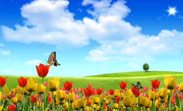 Spring Wallpaper HD For Desktop Download new.