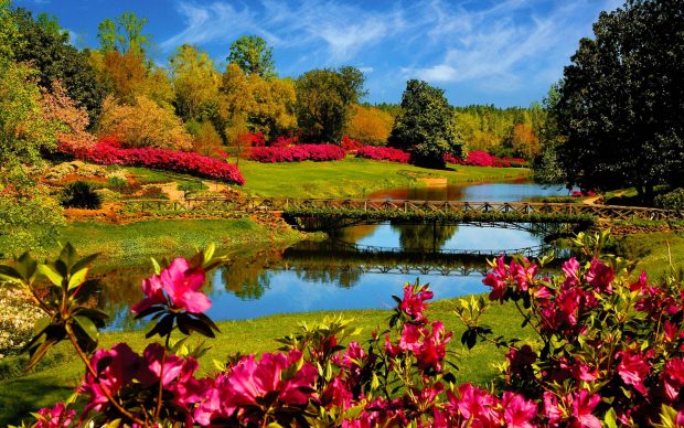 Spring wallpapers HD for desktop new.