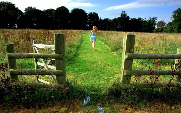 Summer at the Country side photo.