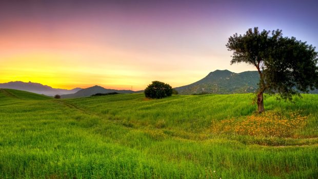 Summer nature grass beautiful light 3840x2160.