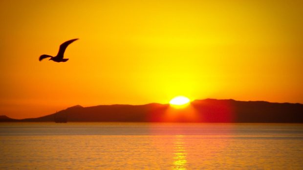 Sunrise Wallpaper Download Images.