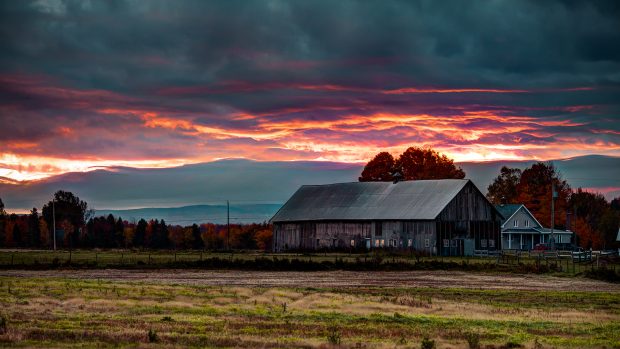 Sunrise barn wallpaper.