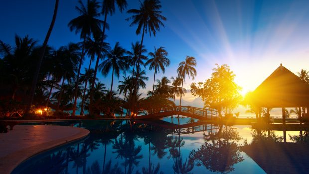 Sunrise thailand paradise trees sea water palm trees bridge nature.