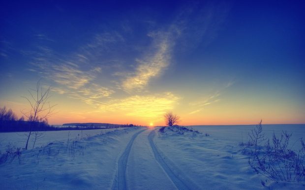 Sunset Winter Images 1